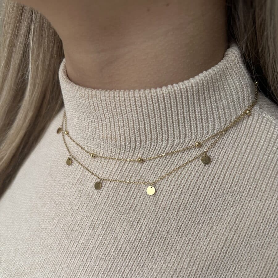 Evi Ketting - Afbeelding 2